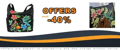 Anna By Anuschka Women's Zip Top Leather Organizer Bag